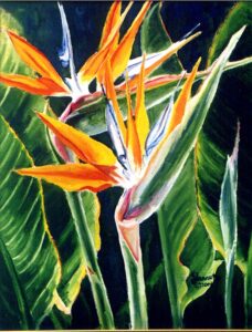 Bird of Paradise in Oil